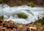 DSC_3485.jpg