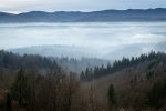 DSC_3953.jpg