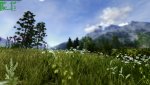 valley_.jpg