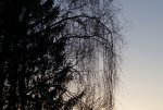 IMG_5777.jpg