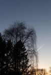 IMG_5782.jpg