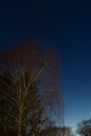 IMG_5814.jpg