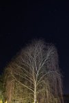 IMG_5828.jpg