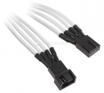 4-Pin Stecker und Buchse.png
