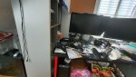 20200331_080456.jpg