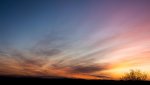IMG_0241.jpg