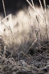 IMG_0327-Wiederhergestellt.jpg