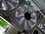 DSC00860.JPG