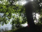Weiher002.jpg