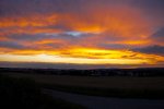 DSC_2710.jpg