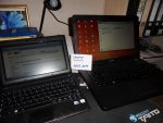 SDC11045.jpg