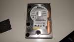 DSC05690.jpg