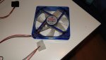 DSC05694.jpg