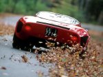 1967 Alfa Romeo Tipo 33 Stradale_2.jpg
