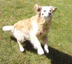 Moritz Frolic 1.jpg