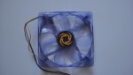 DSC00481.jpg