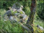 Wanderung 436.jpg