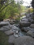 DSCF0150.jpg