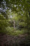 DSC_2769.jpg