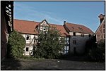 IMG_1685.jpg