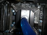 CIMG0390.jpg