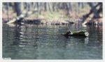 IMG_5893_frame.jpg