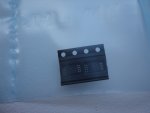 DSC04499.JPG