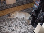 100_4847.JPG
