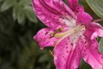 DSC_3021.jpg