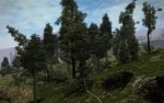 Wald__Texturmodifikation_.jpg