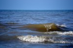 DSC_1075.jpg
