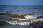 DSC_1076.jpg