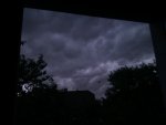 IMAG0290.jpg