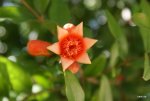 DSC09518.JPG