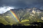 _DSC4208.jpg