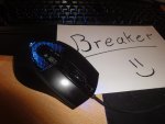 DSC02395.jpg