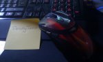 IMAG0122.jpg