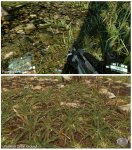 Compare-Ground.jpg