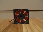 DSC00992.JPG