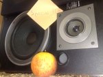 10082011352.jpg