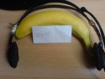 DSC00379.JPG
