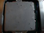 DSC01759.jpg
