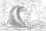 CSC_0137 bearb.jpg