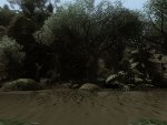 FarCry2 2009-12-13 14-29-34-40.jpg