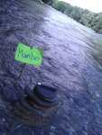 WP_000099.jpg
