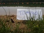 2011-08-18 12.59.45.jpg