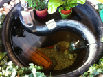 image-3255450896.png