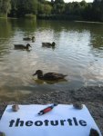Badestick_mit_Ente.jpg