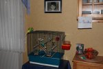IMG_0425.jpg