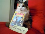 Katze+Pc-Spiel2.jpg